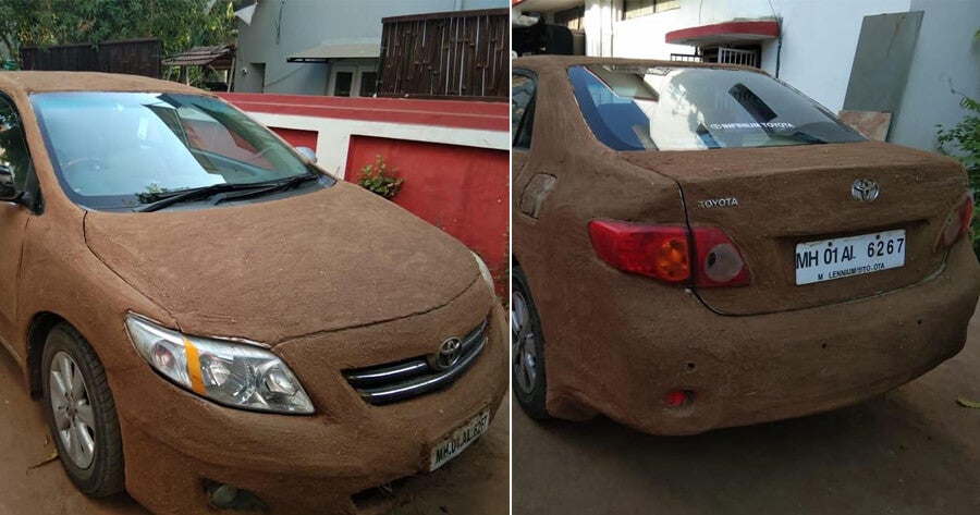 Woman Uses Cow Poop To Protect Her Car From The Extremely Hot Weather Over 40 Degrees - World Of Buzz