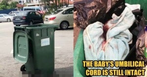 Security Dog Found A Newborn Baby in The Dumpster - WORLD OF BUZZ
