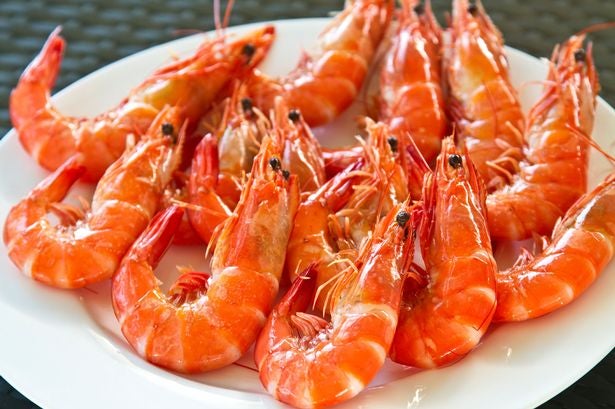 Study: Cocaine & Ketamine Found in All Samples of UK Freshwater Shrimp - WORLD OF BUZZ 2
