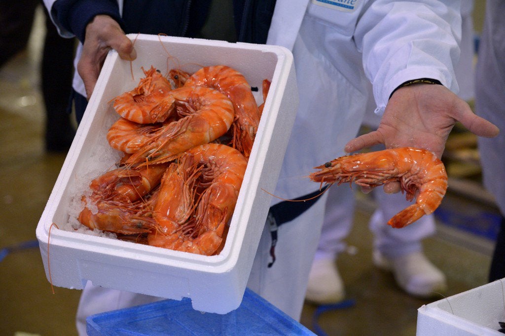 Study: Cocaine &Amp; Ketamine Found In All Samples Of Uk Freshwater Shrimp - World Of Buzz 1
