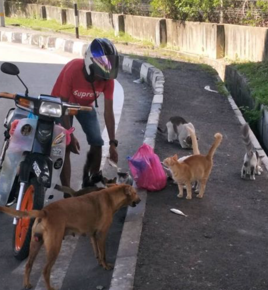 This Malay Man Spends More Than Half Of His Salary To Feed Stray Dogs And Cats - WORLD OF BUZZ 1