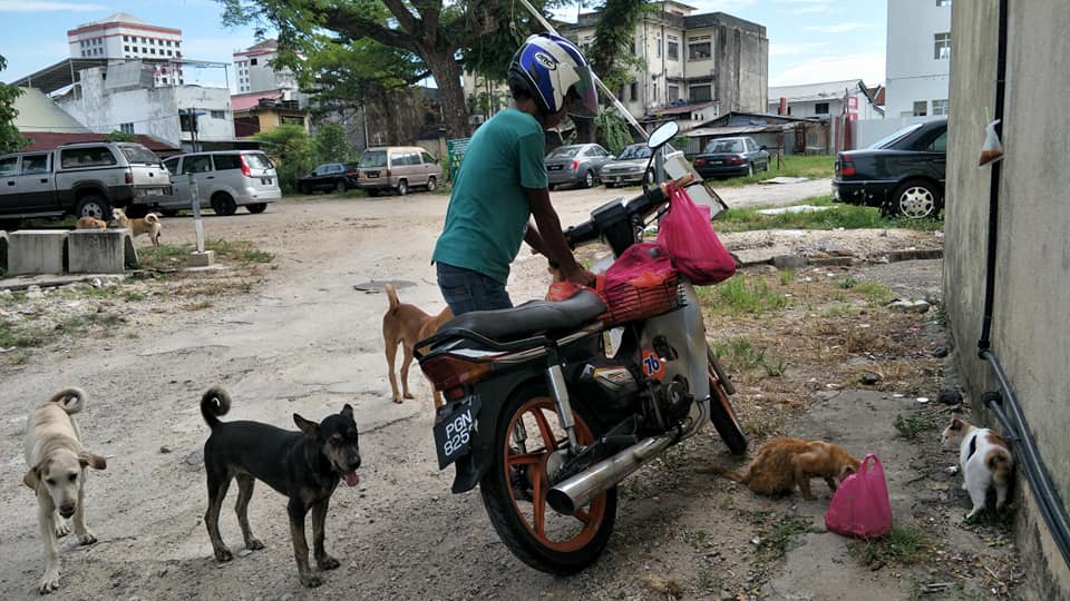 This Malay Man Spends More Than Half Of His Salary To Feed Stray Dogs And Cats - WORLD OF BUZZ 2