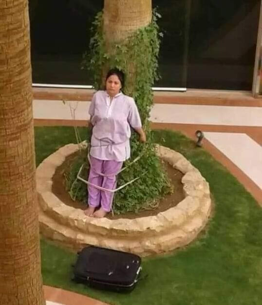 Viral Photo Shows Maid Being Tied To Tree In Hot Sun After Angering Wealthy Employers - World Of Buzz