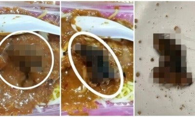 Woman Orders Rojak In Kk, Finds Beheaded Rodent When Pouring Peanut Sauce - World Of Buzz 2