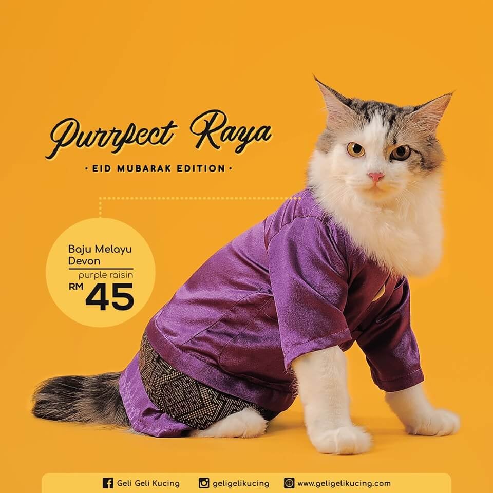 You Can Actually Get Cute Baju Raya For Your Cats Including Songkok at This Malaysian Shop! - WORLD OF BUZZ 3
