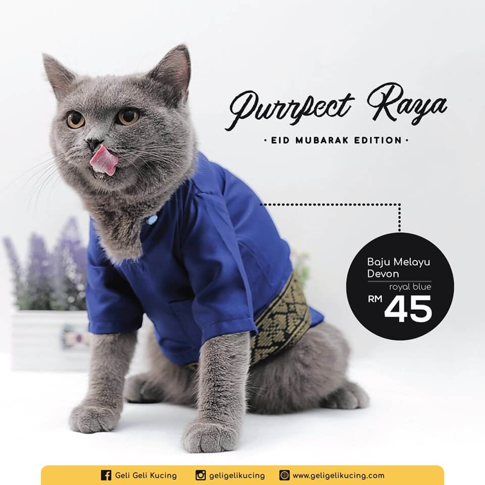 You Can Actually Get Cute Baju Raya For Your Cats Including Songkok at This Malaysian Shop! - WORLD OF BUZZ 4