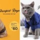 You Can Actually Get Cute Baju Raya For Your Cats Including Songkok At This Malaysian Shop! - World Of Buzz 8