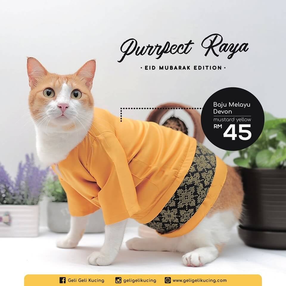 You Can Actually Get Cute Baju Raya For Your Cats Including Songkok at This Malaysian Shop! - WORLD OF BUZZ 2