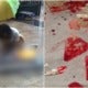 6Yo Boy Severely Injured When Window Falls From The 20Th Floor And Crushes Him - World Of Buzz
