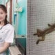 Young Doctor Finds Live Gecko Crawling Inside Patient'S Ear On Her First Day Of Woek - World Of Buzz