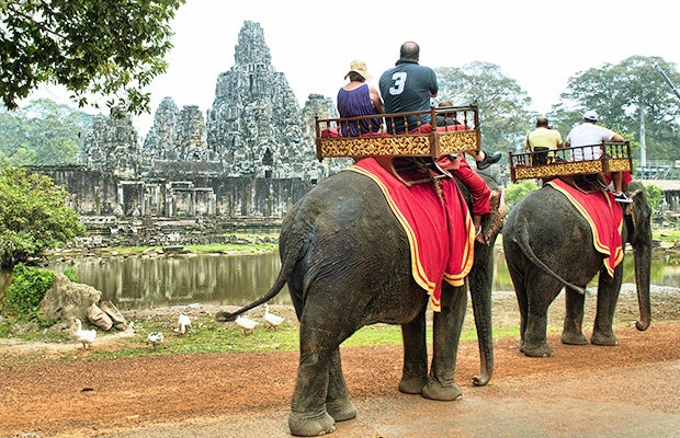 After 2Cambodia is Now Banning Elephant Rides at Angkor Wat Starting 2020 - WORLD OF BUZZ