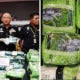 Chinese Tea Bag To Smuggle Meth - World Of Buzz 6