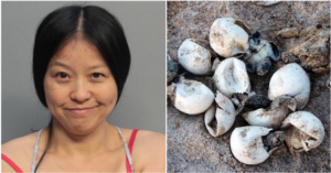 Chinese Woman Arrested For Jabbing And Stomping On Endangered Sea Turtle Nest - WORLD OF BUZZ 1