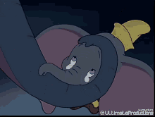 elephant - WORLD OF BUZZ 2