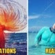 Husband'S Hilarious Failed Honeymoon Pics Of His Wife Go Viral, Become The 'Godzilla Challenge' - World Of Buzz