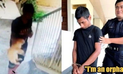 Man Who Hung Cat Sentenced To 15 Months Of Jail, Pleads For Lighter Sentence Because &Quot;He'S An Orphan&Quot; - World Of Buzz 4