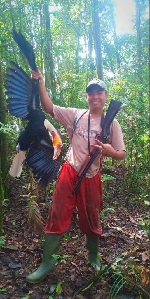 Man Who Proudly Killed Endangered Hornbill Will Be Sentenced Up To 5 Years In Jail - World Of Buzz 4