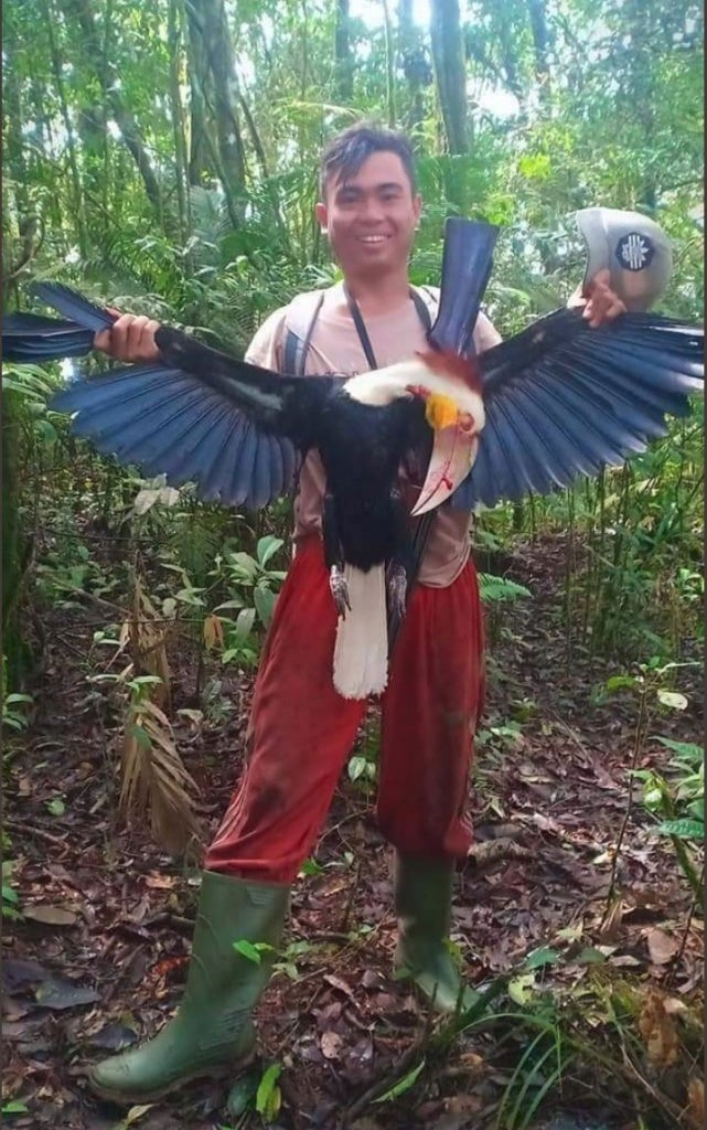 Man Who Proudly Killed Endangered Hornbill Will Be Sentenced Up To 5 Years In Jail - WORLD OF BUZZ 5
