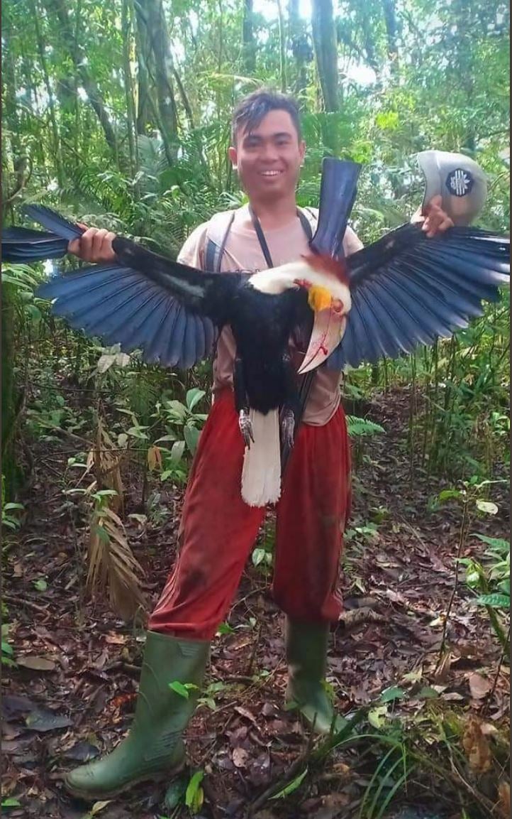 Man Proudly Kills Endangered Hornbill and Shows Off Online, Now Faces 5 ...