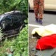 Mother Who Dozed Off Whilst Driving Caused Car To Skid Throwing Daughters Out Of It Before Plunging Into Ravine - World Of Buzz