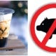Netizen Explains Why Boba Tea Is Not Haram, States That It Is Too Expensive To Put Pork Products In Drinks - World Of Buzz