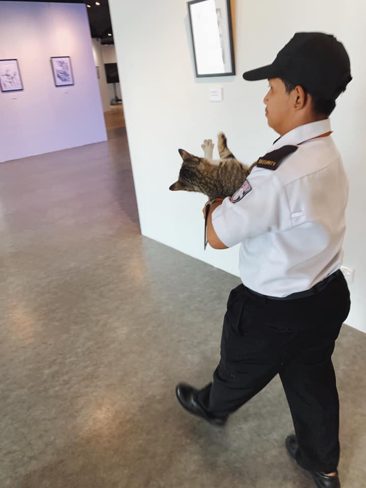PJ Uni Security Guard Interrupts Cute Campus Cat, HotDog, From Enjoying Art Exhibition - WORLD OF BUZZ 1