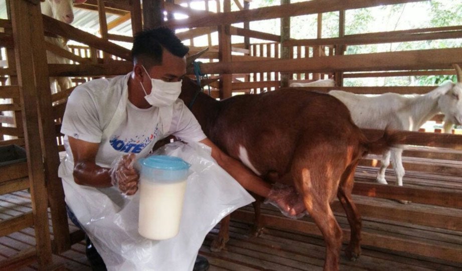 Selangor Health Dept: Do Not Drink Raw Milk Which Can Carry Harmful Bacteria - WORLD OF BUZZ 1