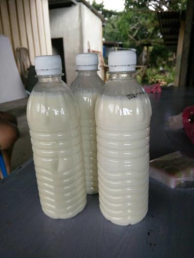 Selangor Health Dept: Do Not Drink Raw Milk Which Can Carry Harmful Bacteria - WORLD OF BUZZ 2