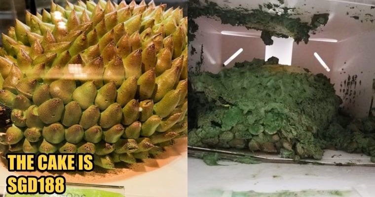 Singapore Woman Orders 3D Durian Cake Online, Received A Smashed Green Paste Instead - World Of Buzz 2