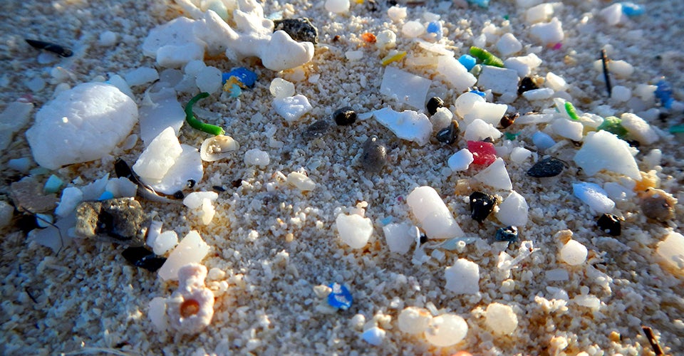 Study: We Consume An Average of 5 Grams Of Plastic A Week, The Same Weight As One Credit Card - WORLD OF BUZZ 2