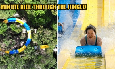 The World'S Longest Slide Opening In Penang This August Goes Through The Jungle &Amp; Lasts 4 Mins! - World Of Buzz 3