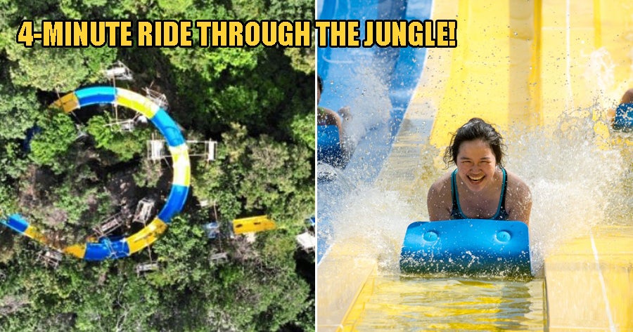 The World'S Longest Slide Opening In Penang This August Goes Through The Jungle &Amp; Lasts 4 Mins! - World Of Buzz 3