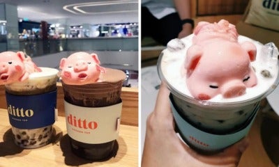 This Cafe Branch Is Going Viral For Its Adorable Marshmallow Pig Sleeping On Top Of Their Bubble Tea! - World Of Buzz