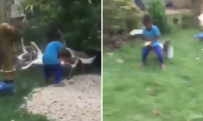Video Of Brave Little Boy Having A Smack Down With Fierce Goose Goes Viral, Netizens Amused - World Of Buzz 1