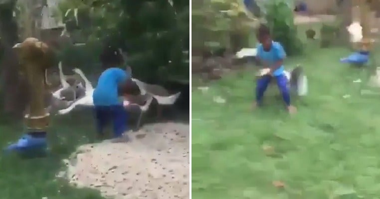 Video Of Brave Little Boy Having A Smack Down With Fierce Goose Goes Viral, Netizens Amused - World Of Buzz 1