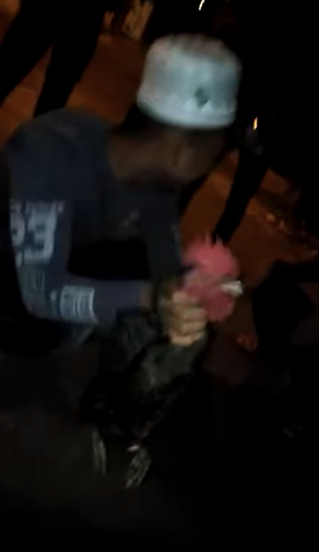 Video Of Terengganu Man Strangling Chicken Goes Viral, Authorities Now Looking For Him - WORLD OF BUZZ