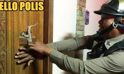 Woman Calls Police When She Finds A Small Gecko &Quot;Blocking&Quot; Her Front Door - World Of Buzz 1