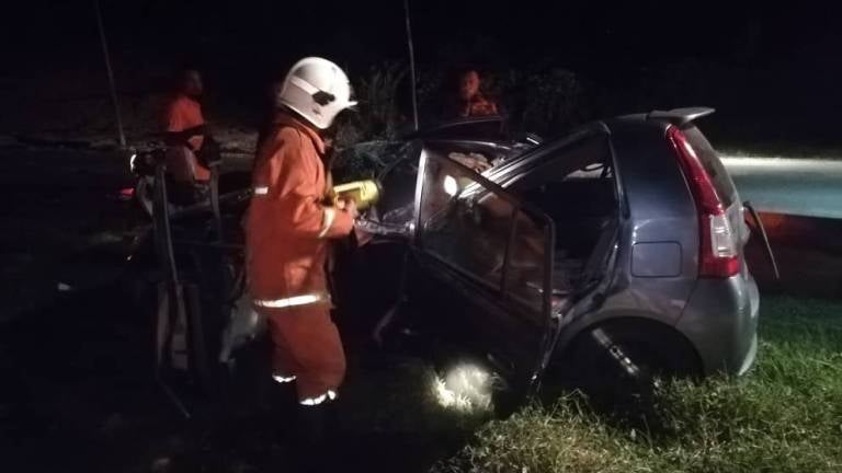 27yo M'sian Woman Excited to Spend Her First Salary Instantly Dies After Tree Falls on Car - WORLD OF BUZZ 1