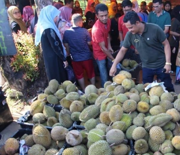 5 durian14a 1563084483
