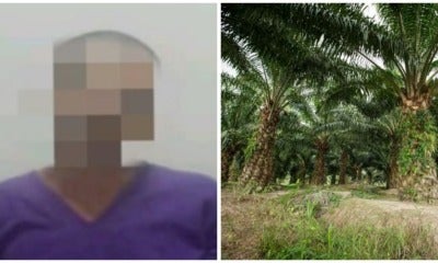 53Yo Father Lures 16Yo Daughter Into Sabah Oil Palm Plantation To Rape Her - World Of Buzz 2