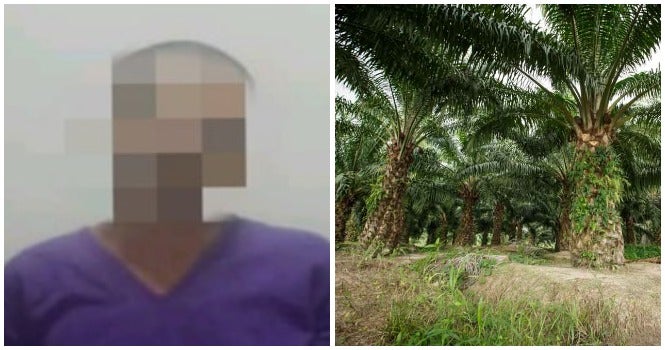 53yo Father Lures 16yo Daughter into Sabah Oil Palm Plantation To Rape Her - WORLD OF BUZZ 2