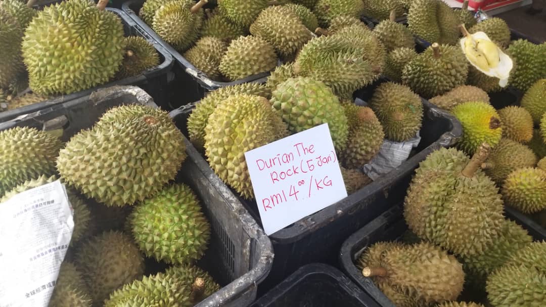Durian 3
