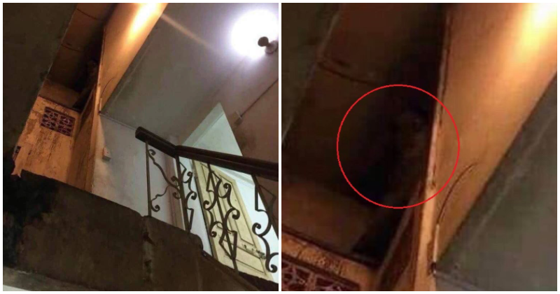 Man Finds Viral Ghost Picture, Shares - World Of Buzz