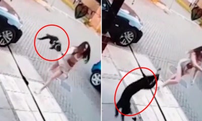 Disturbing Video Shows Woman Flinging Cat At Neighbour'S House As It Kept Entering Her Home - World Of Buzz