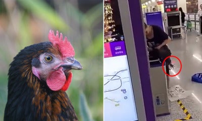 Woman Couldn'T Bring A Live Chicken On The Train So She Slaughtered It Right Then &Amp; There! - World Of Buzz