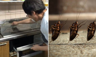 Woman Taps Chopsticks &Amp; Bangs Stove To Get Cockroach Out But Makes - World Of Buzz