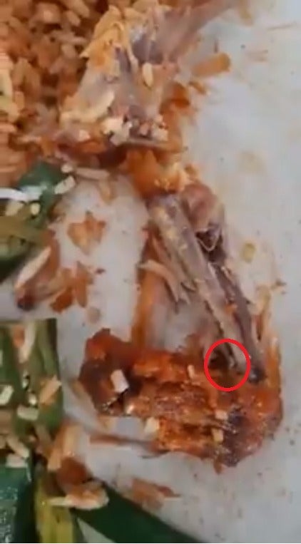 Customers In Pd Mamak Grossed Out By Live Maggots Inside Fried Chicken After They Finished Eating - World Of Buzz 1