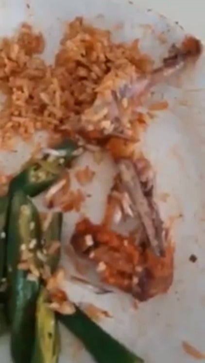 Customers in PD Mamak Grossed Out By Live Maggots Inside Fried Chicken After They Finished Eating - WORLD OF BUZZ 2
