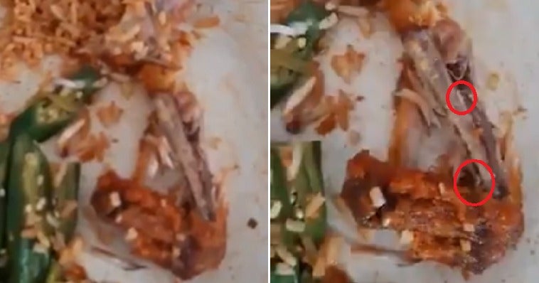 Customers In Pd Mamak Grossed Out By Live Maggots Inside Fried Chicken After They Finished Eating - World Of Buzz 3