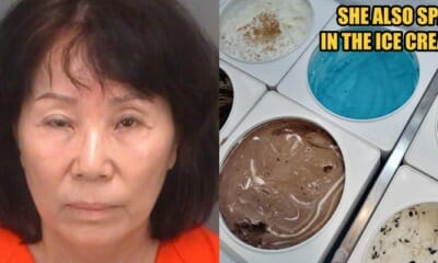 Florida Woman Peed Into A Bucket That Was Used To Churn Ice Cream - World Of Buzz
